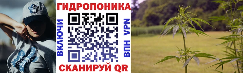 Купить закладку Шенкурск Каннабис 