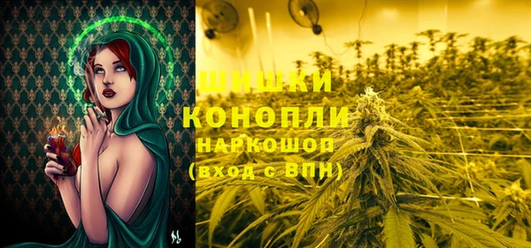 крисы Абдулино