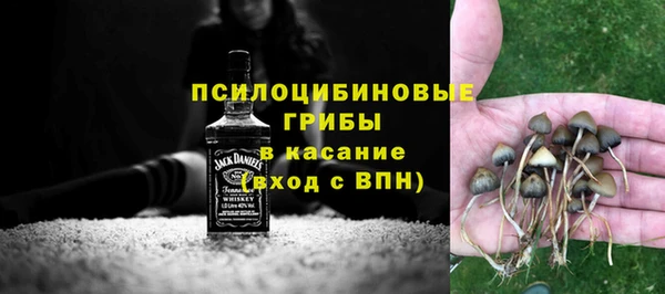 крисы Абдулино