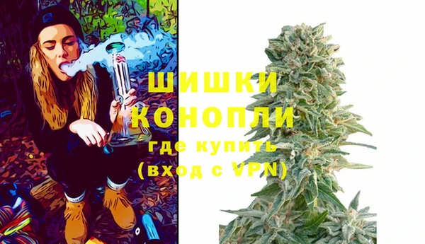 крисы Абдулино