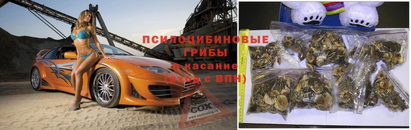 ешки Абинск