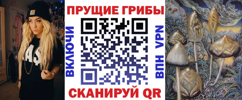 Галлюциногенные грибы Cubensis  купить наркотики цена  Шенкурск 